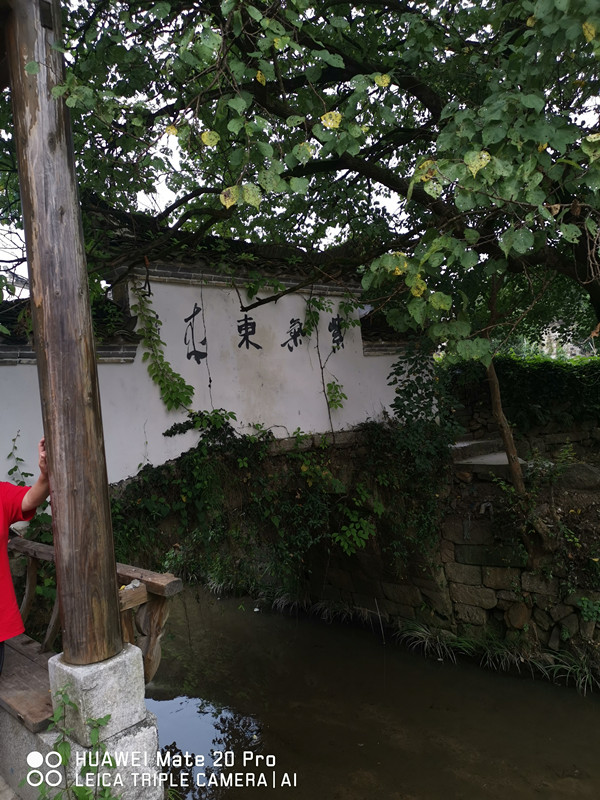 皇冠app手机投注下载