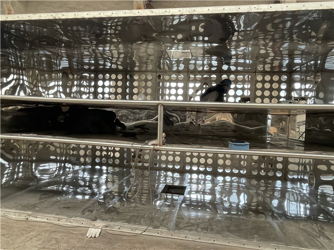 皇冠app手机投注下载