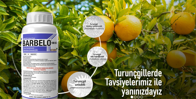 皇冠app手机投注下载