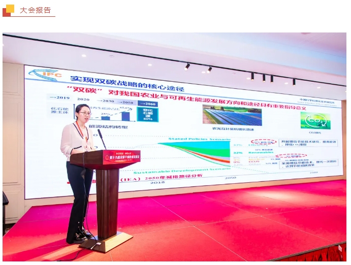 皇冠app手机投注下载