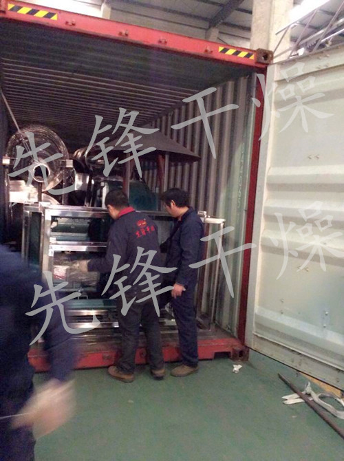 振动流化床发货图片